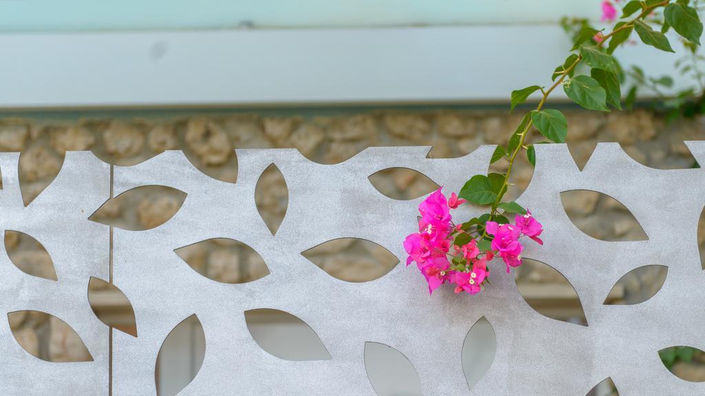 Apartment Mair Dubrovnik Bilik gambar